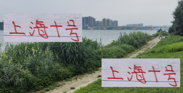 皆是上海的10号！申花特谢拉跟海港的维塔尔 公共皆有优点