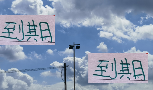 本年北京国安到期的球员 有古加 还有恩加德乌！