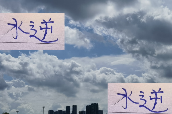 破防了！客岁中超最好弓手武磊 助攻王海港奥斯卡 本年王人遭逢水逆